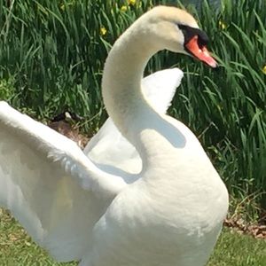 Meet your Posher, Kathryn